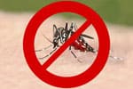 PERFETTO-La zanzara ha le ore contate-Sistema anti-insetto